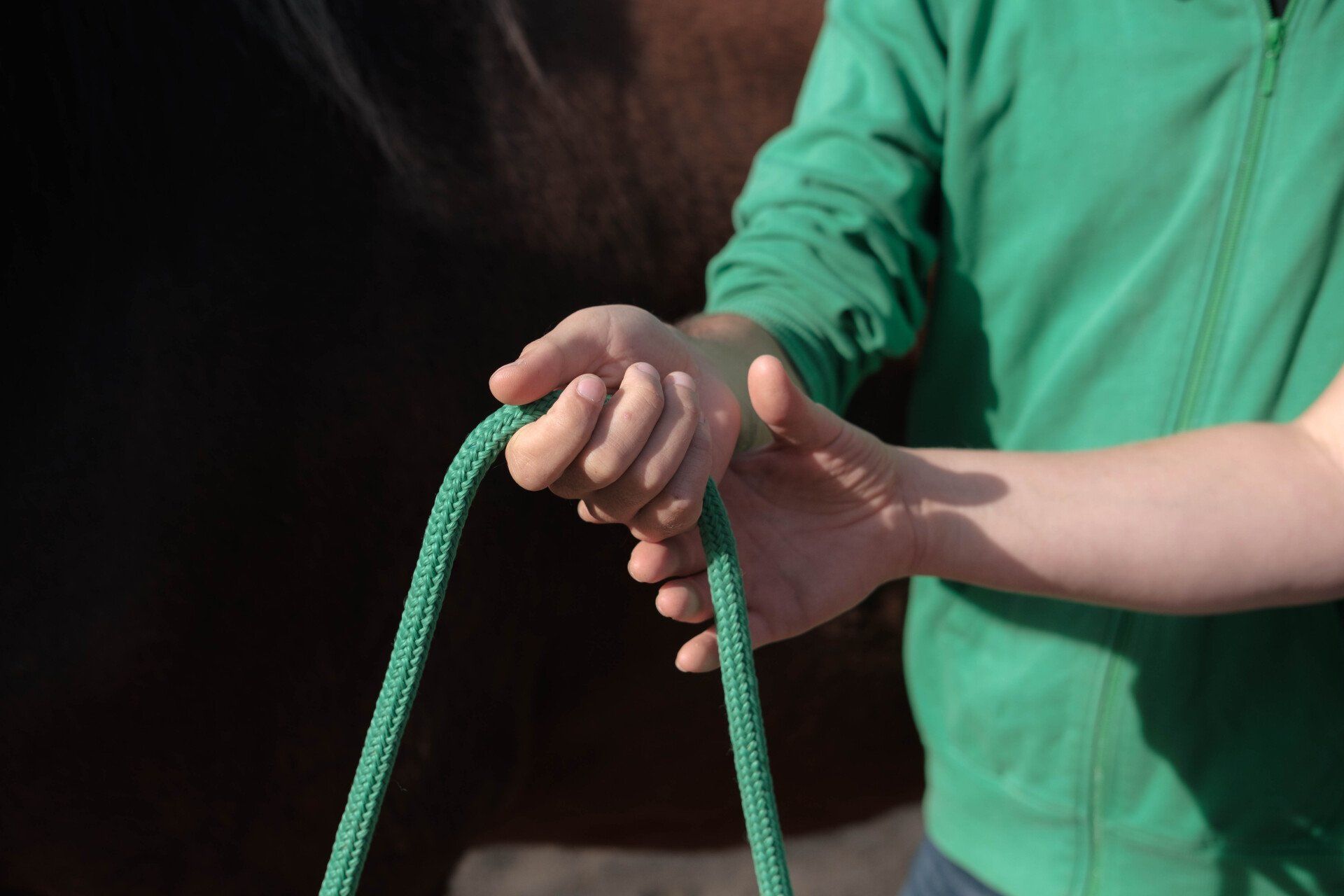 Im Gespräch bleiben - was wir als Paar von den Pferden über Kommunikation lernen können.