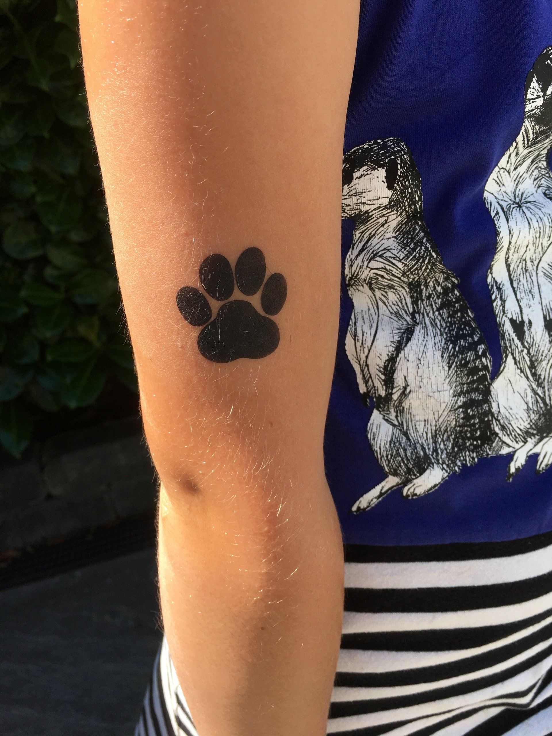 Kindervermaak schminken door Vanja Glitter & Schmink voor feest en evenement in Emmen, Assen, Groningen, Hoogeveen, Drenthe en Groningen