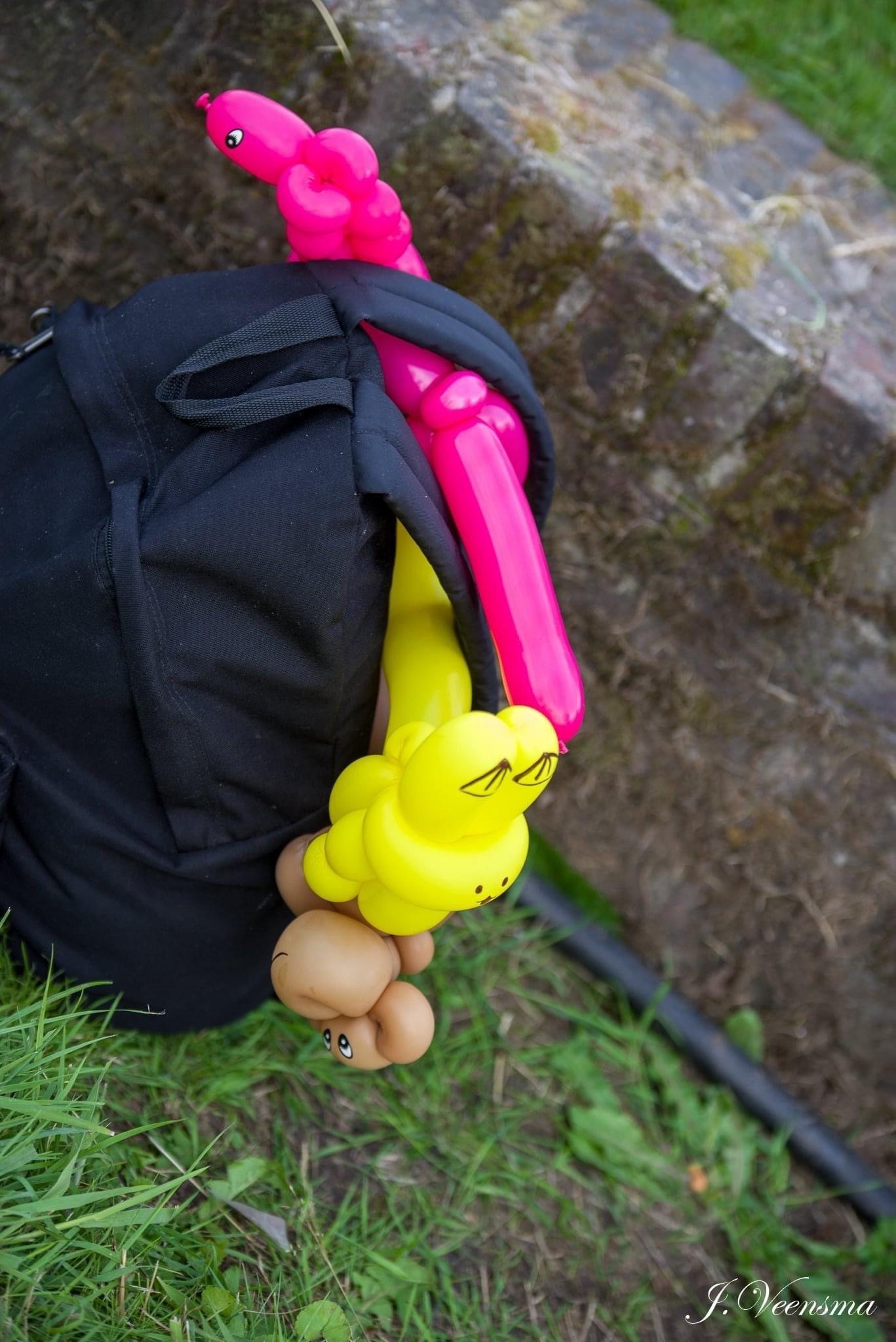 Kindervermaak: Ballonnen vouwen in Emmen, Assen, Groningen, Hoogeveen, Drenthe en Groningen