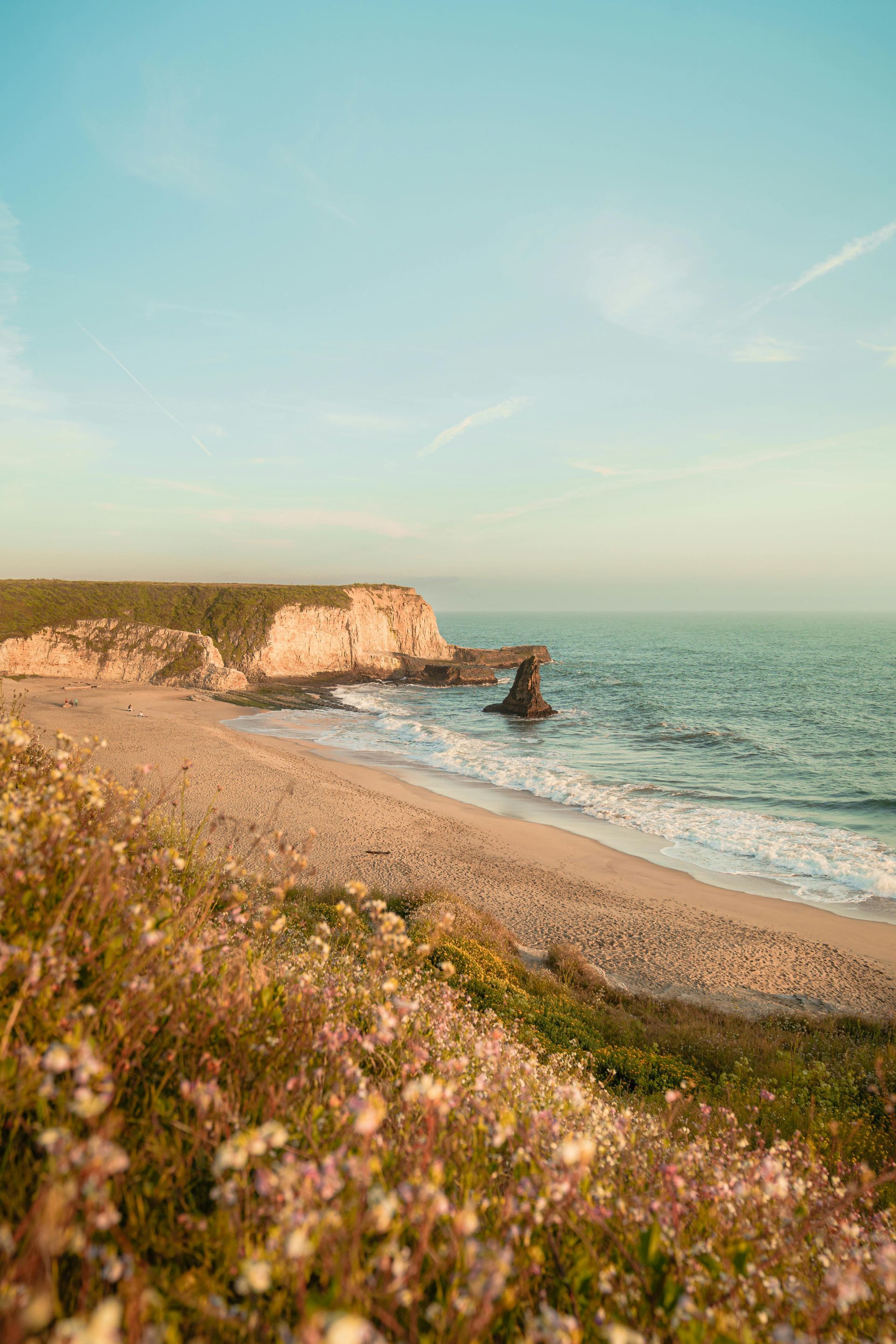 A beach with a cliff and flowers in the foreground and a body of water in the background.