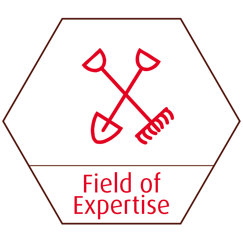 QA Consultancy Field of Expertise