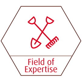 QA Consultancy Field of Expertise