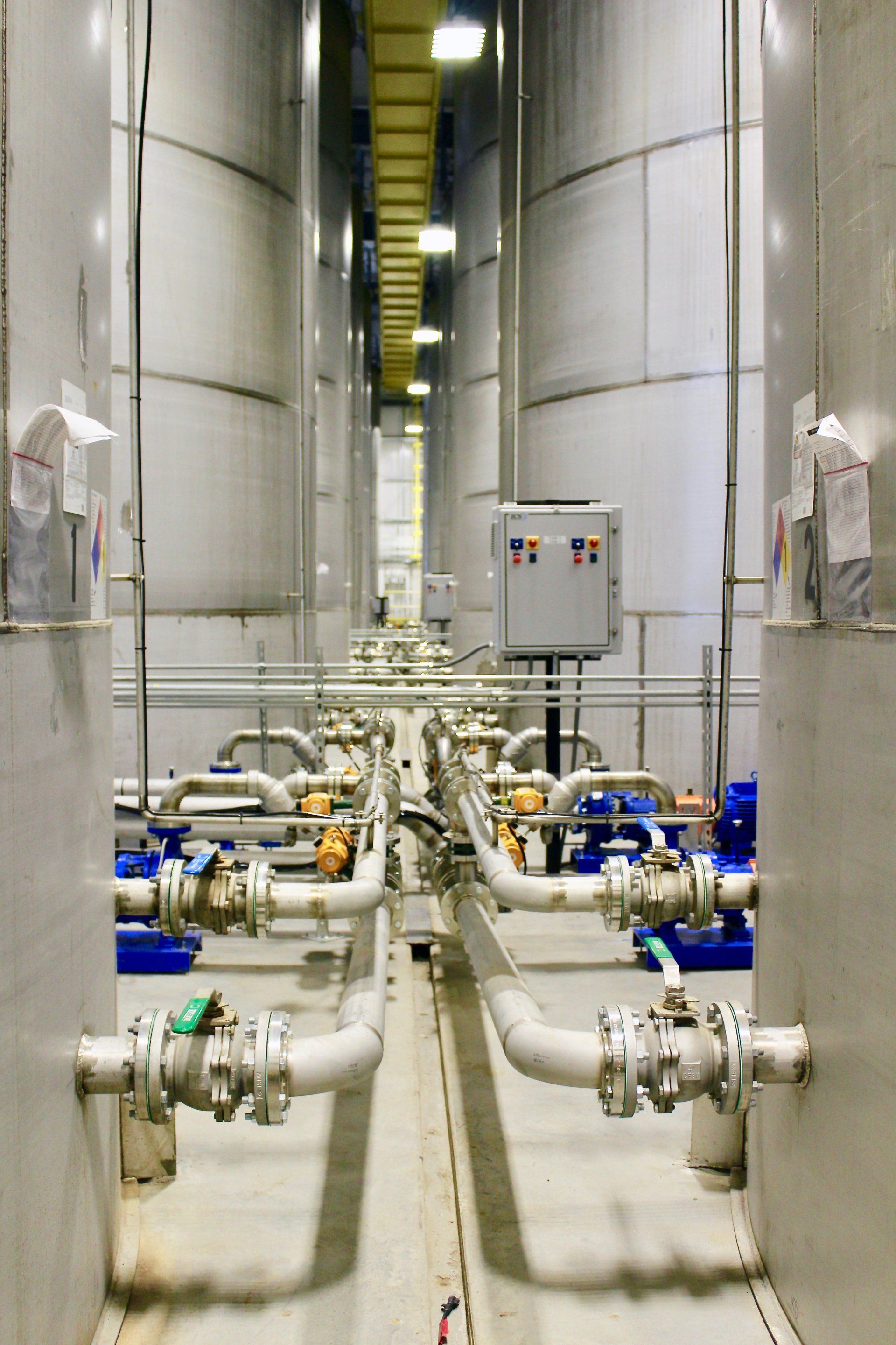 Our Work EA Collective