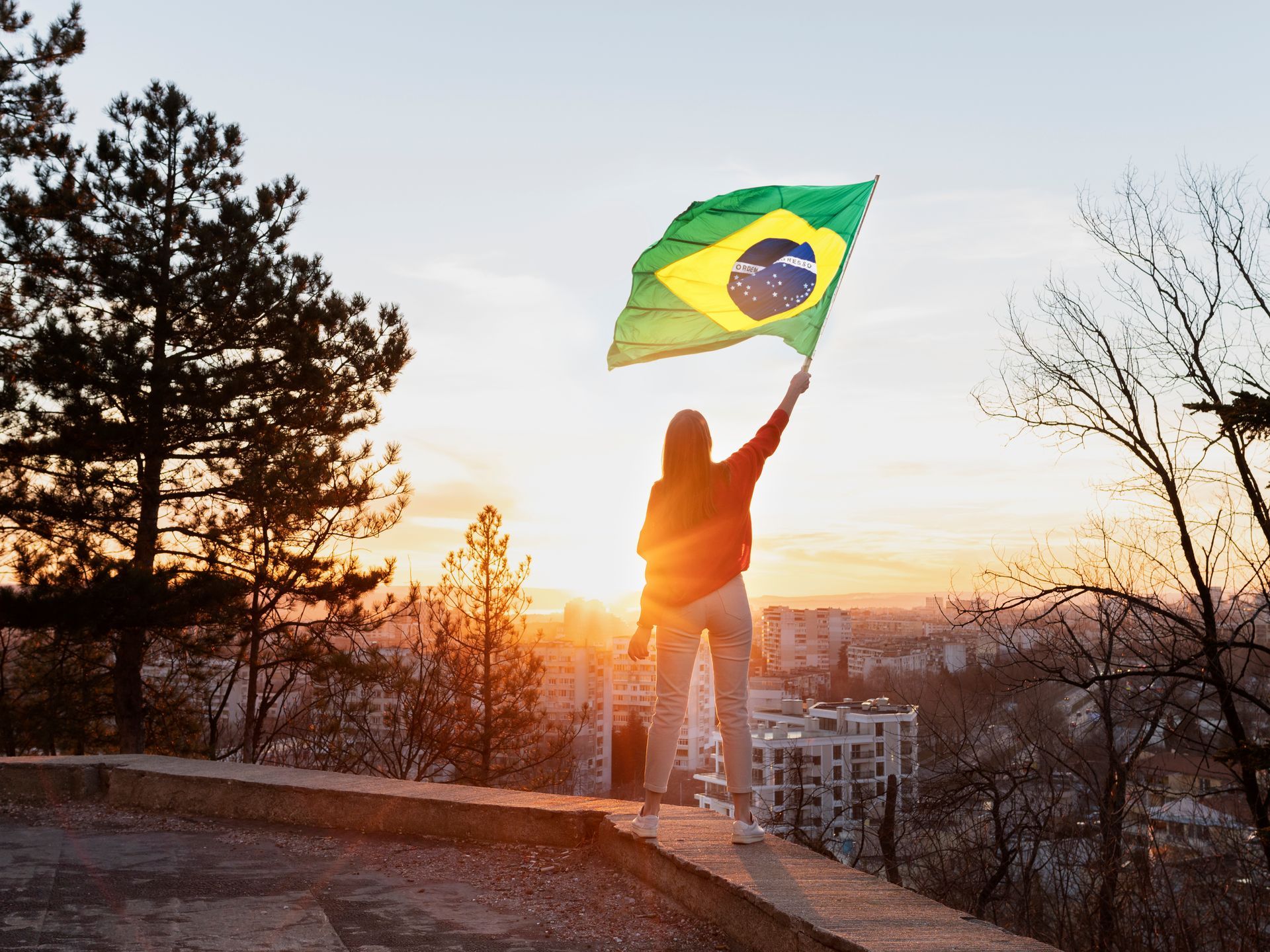 Brasil vulnerável ciberneticamente