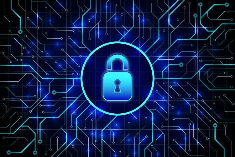 5 dicas para manter a segurança cibernética da sua empresa