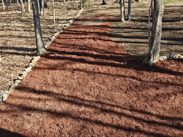 Reddish gravel path winding through a wooded area with bare trees and long shadows