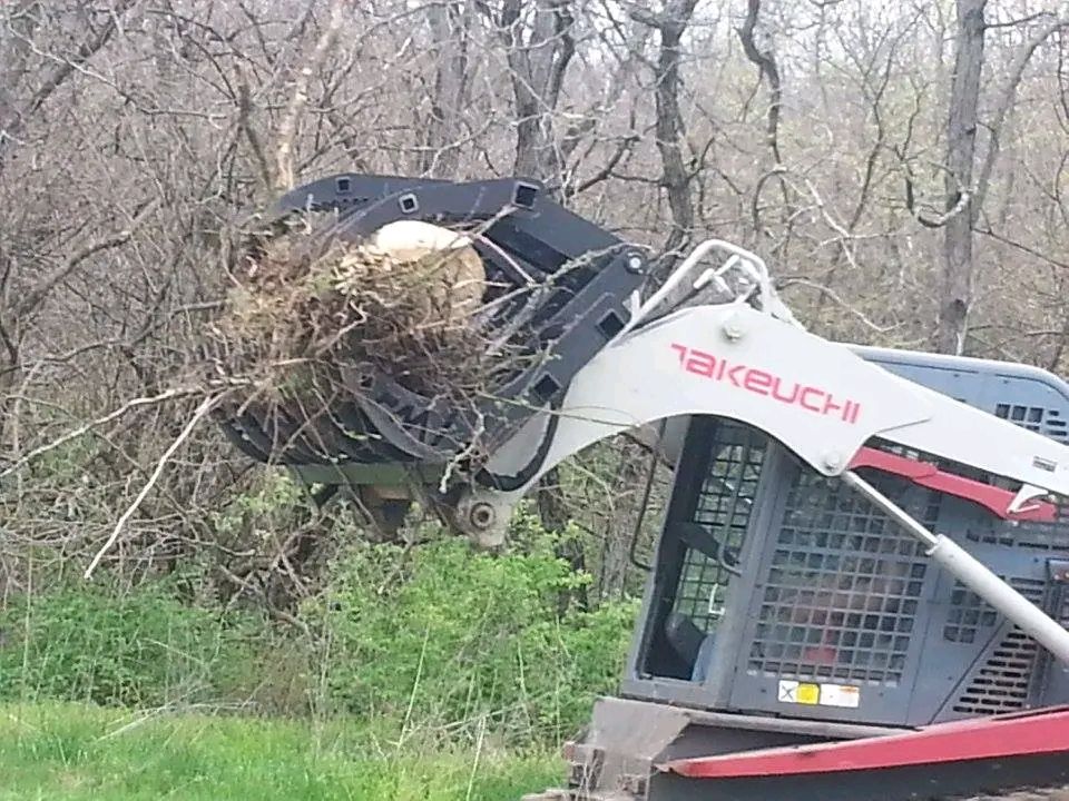 Excavator with raised bucket tangled in tree branches beside a wooded roadside