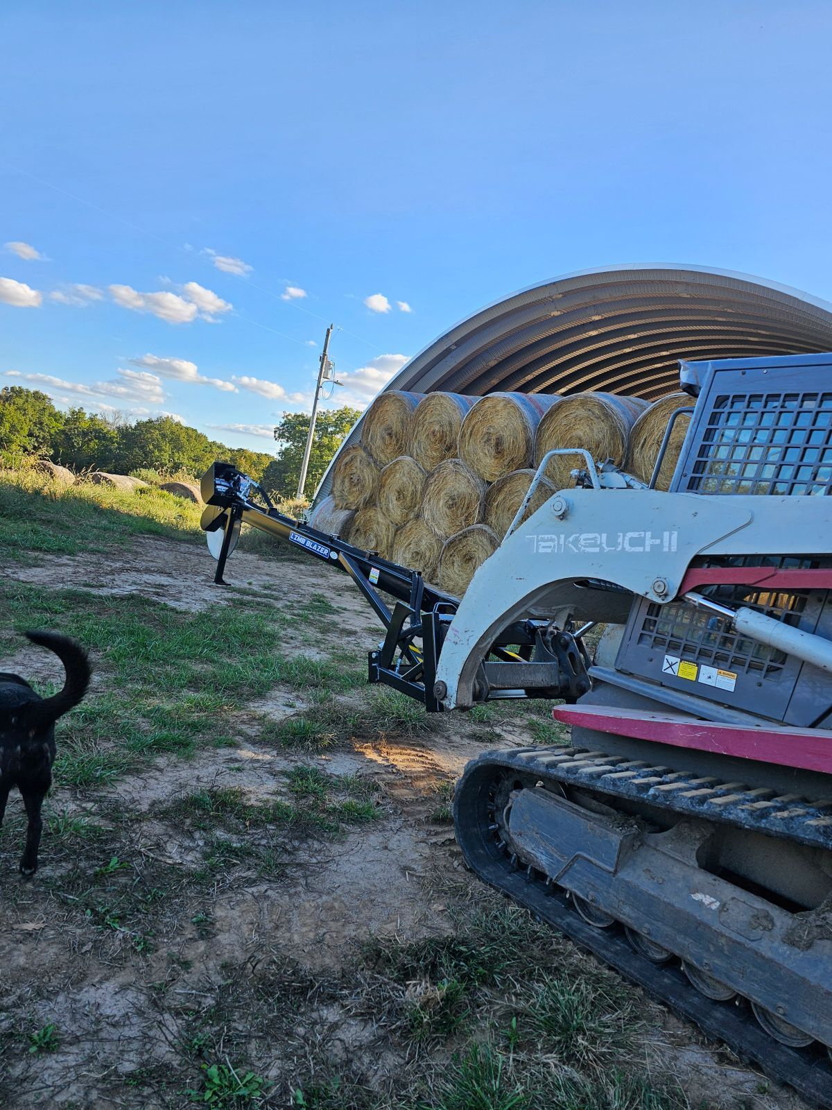 Track loader lifting hay bale near a curved-roof barn, with two dogs in a grassy rural field.