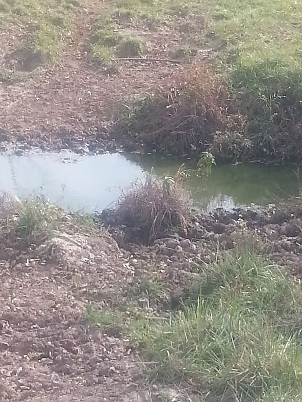 Small muddy stream or pond bordered by grass and dirt on a dry, rocky bank
