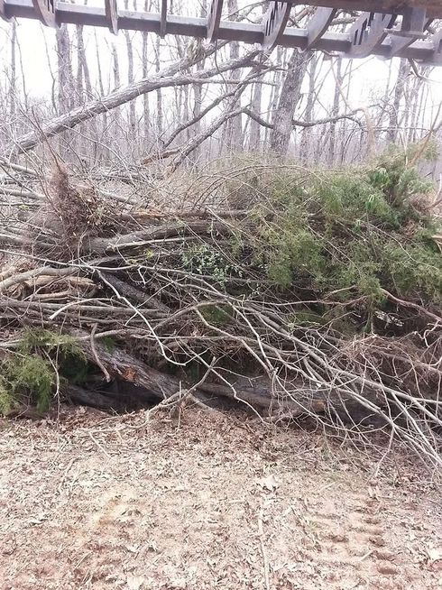 Fallen tree branches and dense brush blocking a muddy path under a wooden structure