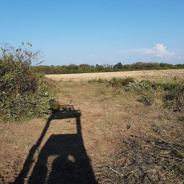 Sunny dirt path beside brush and open field, with a shadowed vehicle in the foreground.
