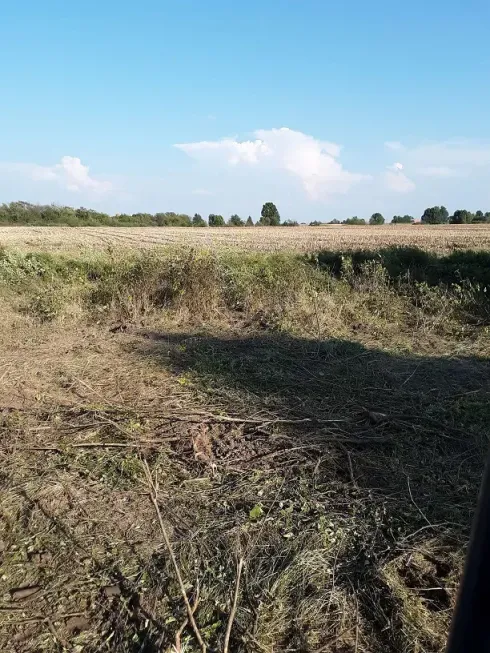 Grassy field under a clear blue sky with a dirt embankment and distant trees