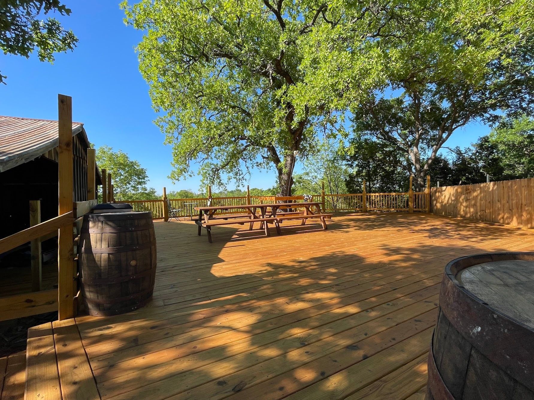 large outdoor space with plenty of trees and sunshine