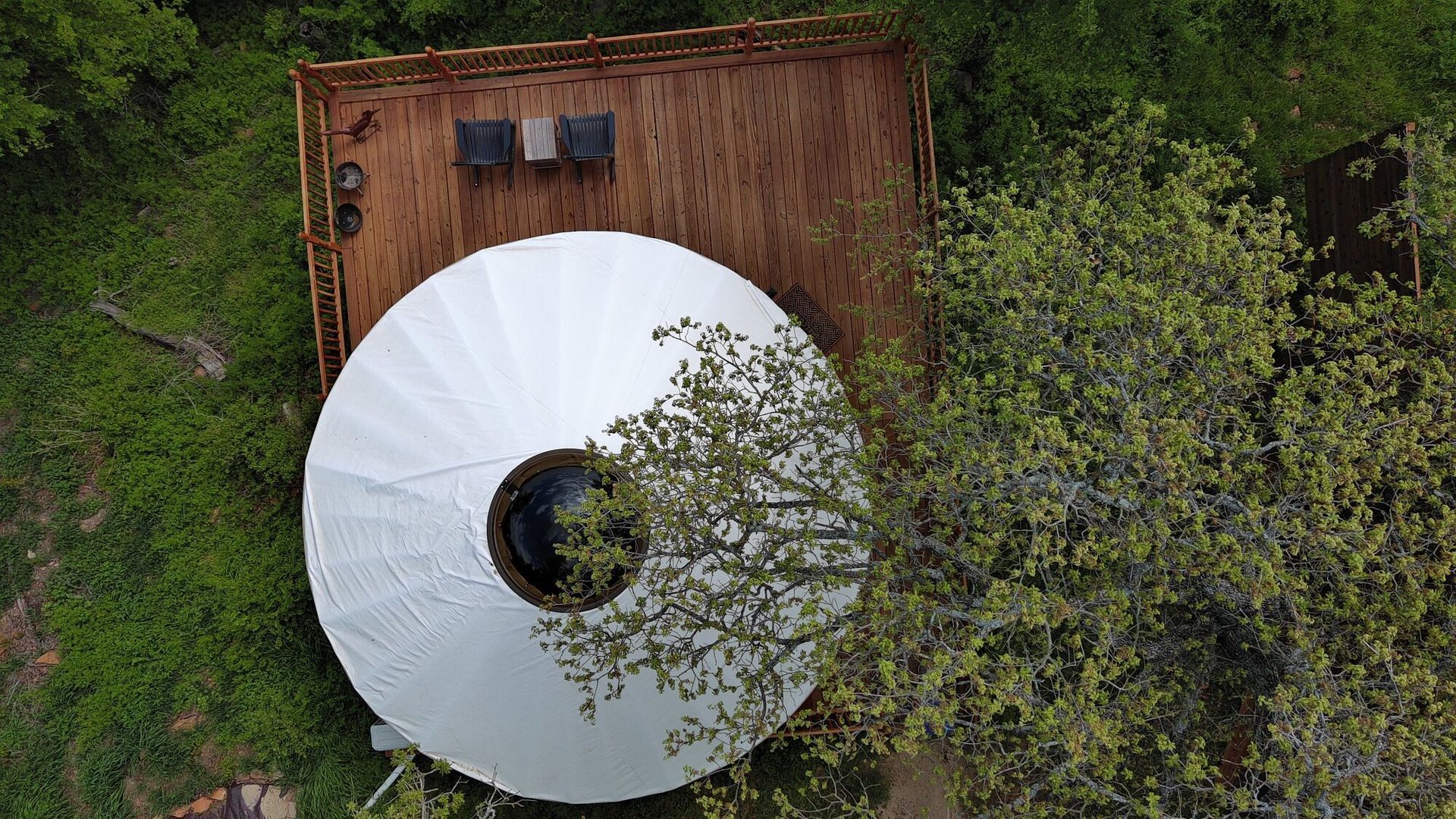 an aerial view of a white tent in the middle of a forest .