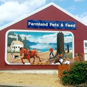 Red barn and silo on a farm, brown field in foreground, blue sky