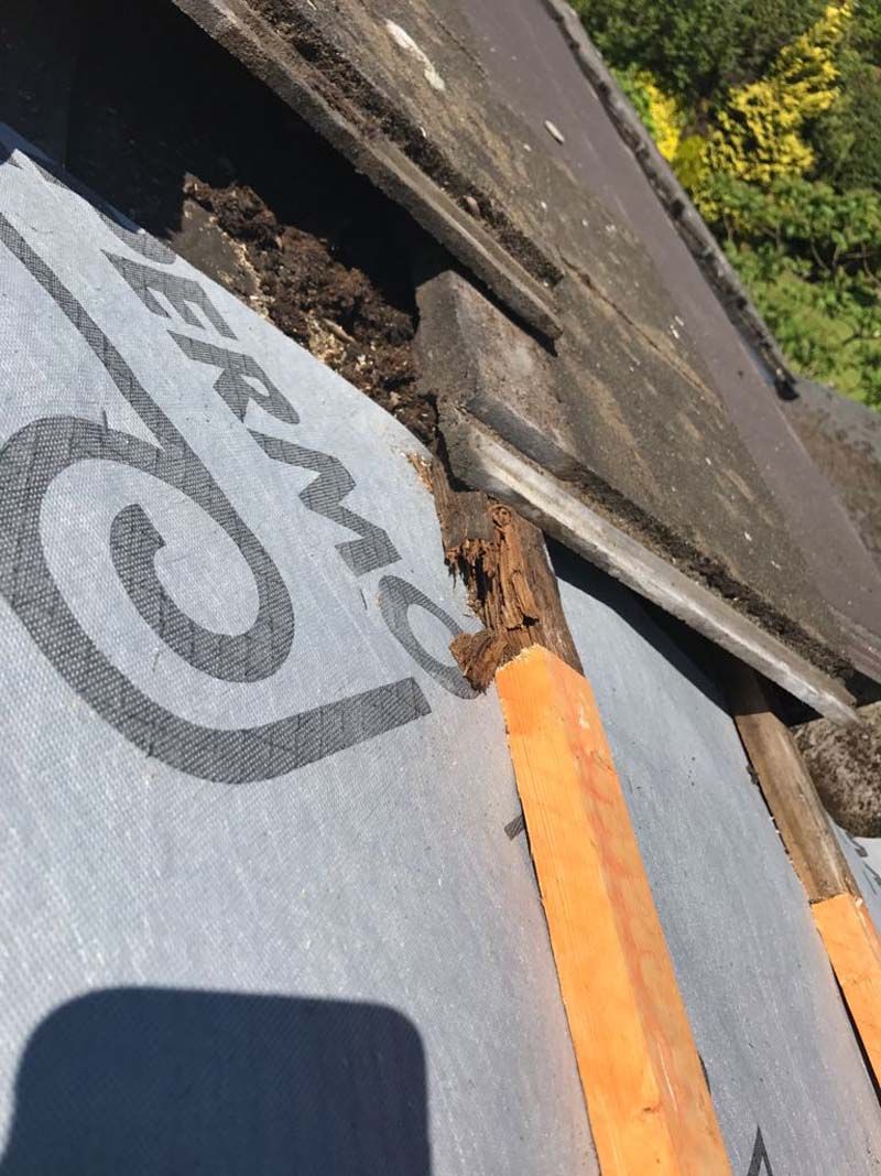 A close up of a roof with a swirl on it