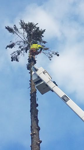 A man is cutting a tree with a crane.