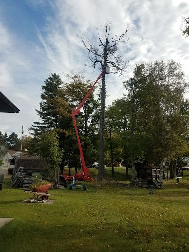 A red crane is cutting a tree in a park.