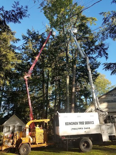 A vancouver tree service truck is cutting a tree.