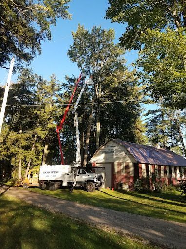A crane is cutting a tree in front of a house.