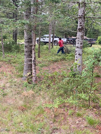 A man in a red shirt is walking through a forest.