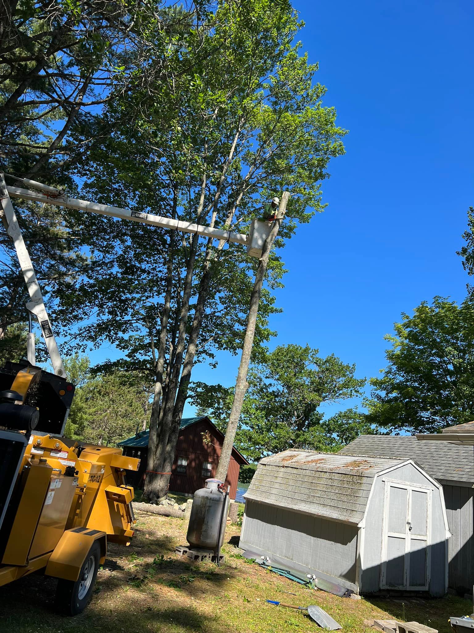 A tree is being cut down by a machine in front of a shed.