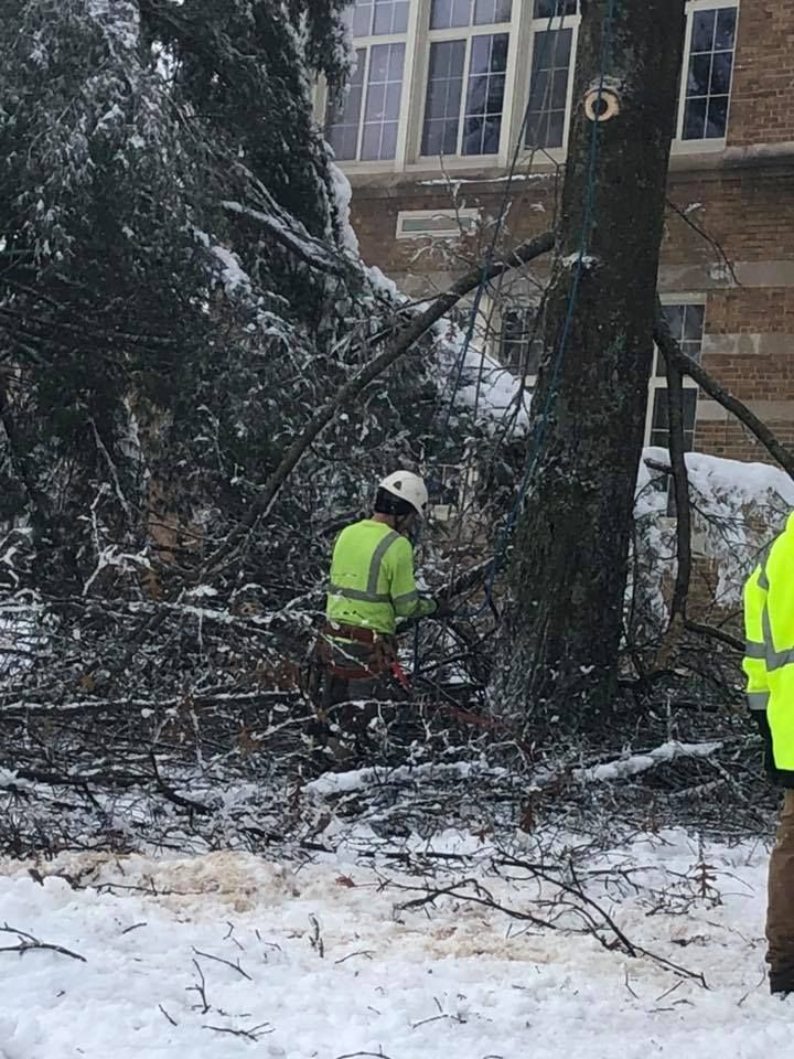 A man in a yellow jacket is cutting a tree in the snow.