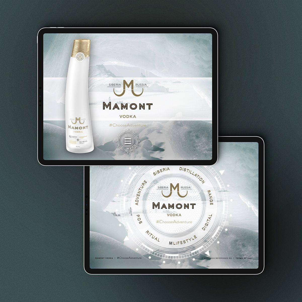 Mobile media design & development