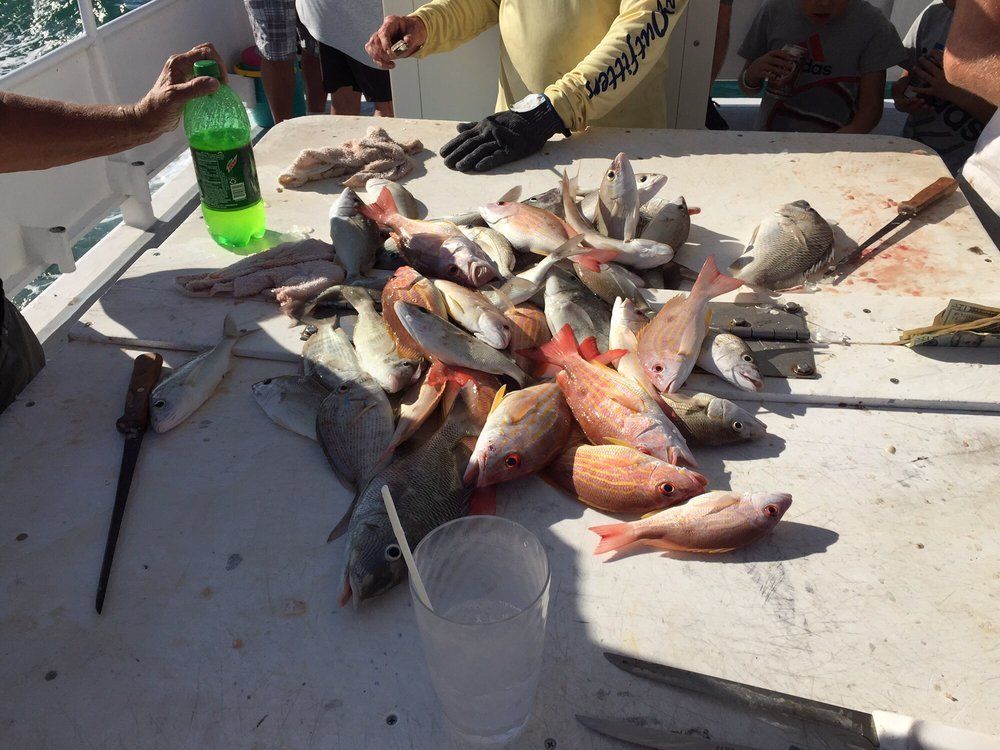 Different Fish — Fort Myers, FL — Captain Tony’s Fishing Adventures