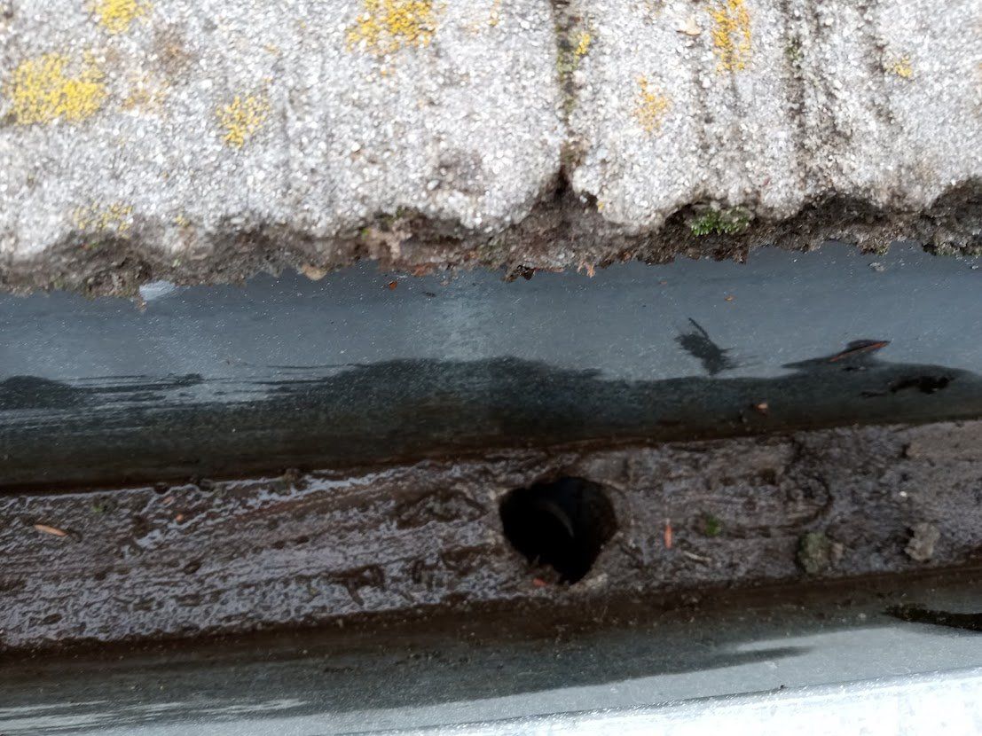 Gutter cleaning after image