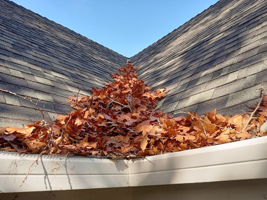 Gutter Cleaning Service Before