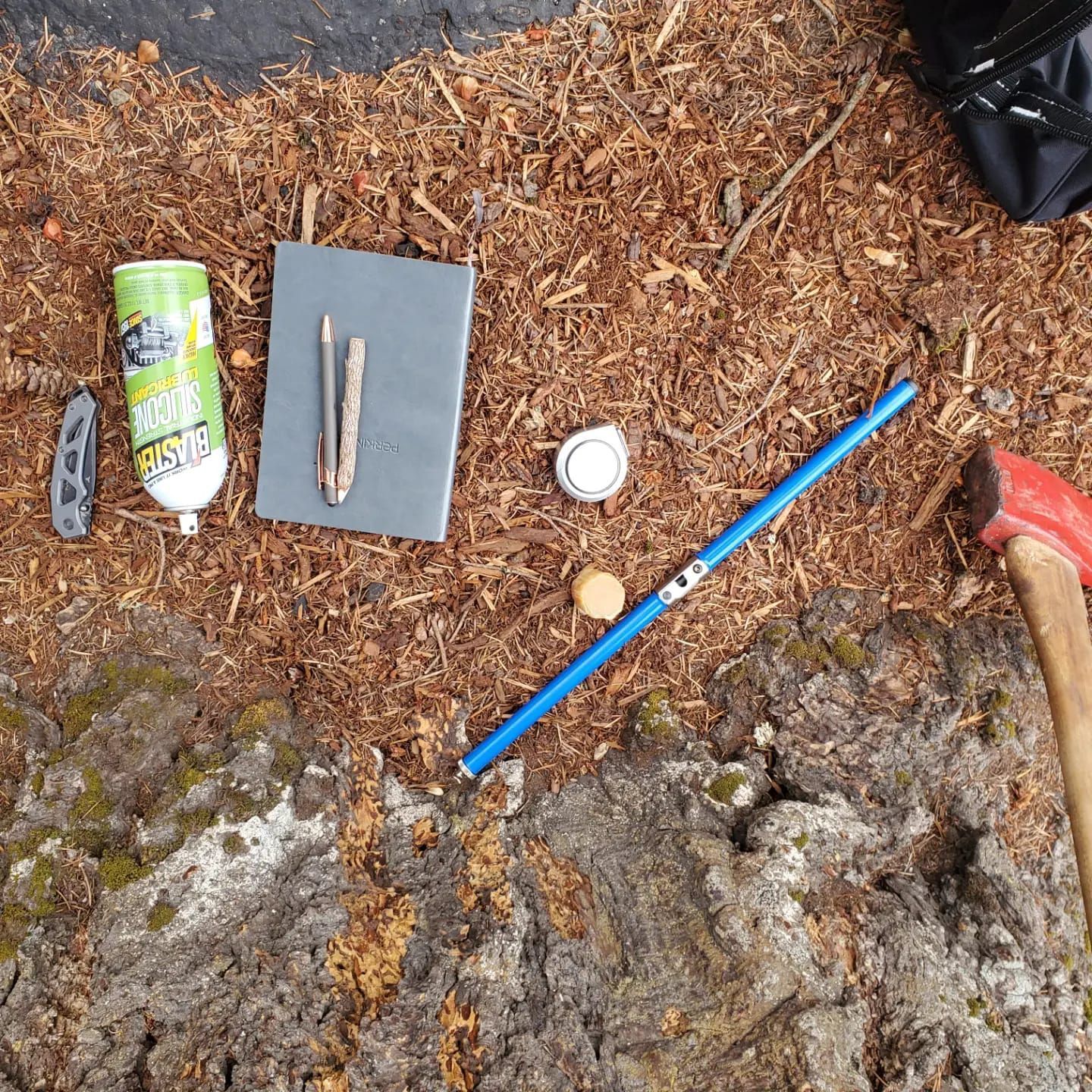 Arborist Lake Oswego