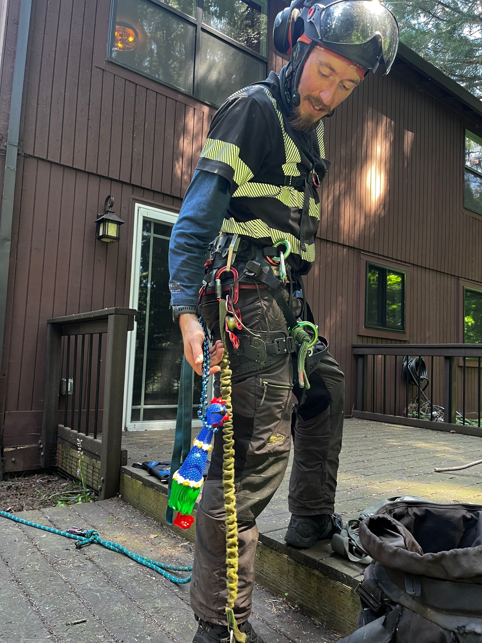 Arborist Hillsboro