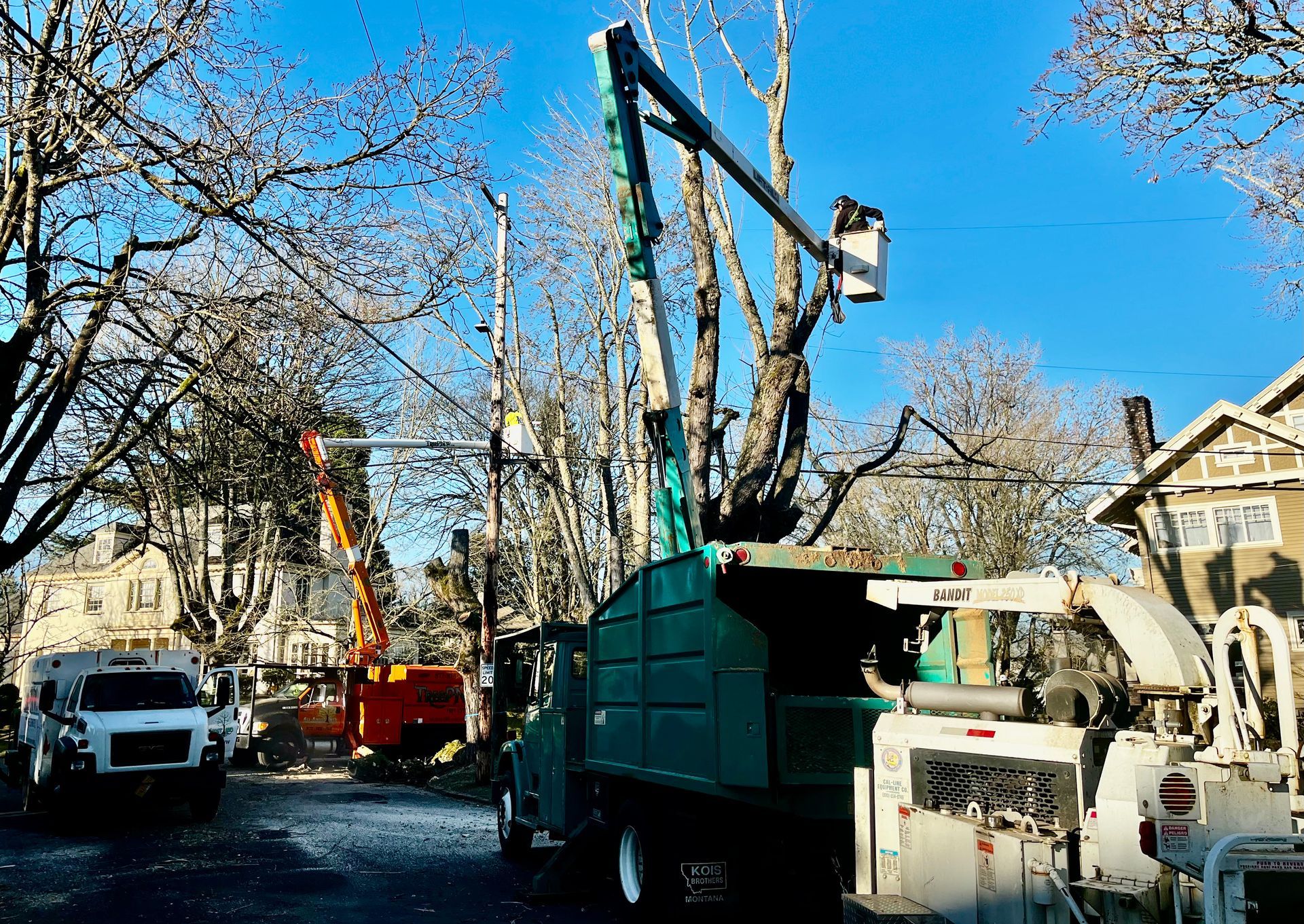 Emergency Tree Service Hillsboro