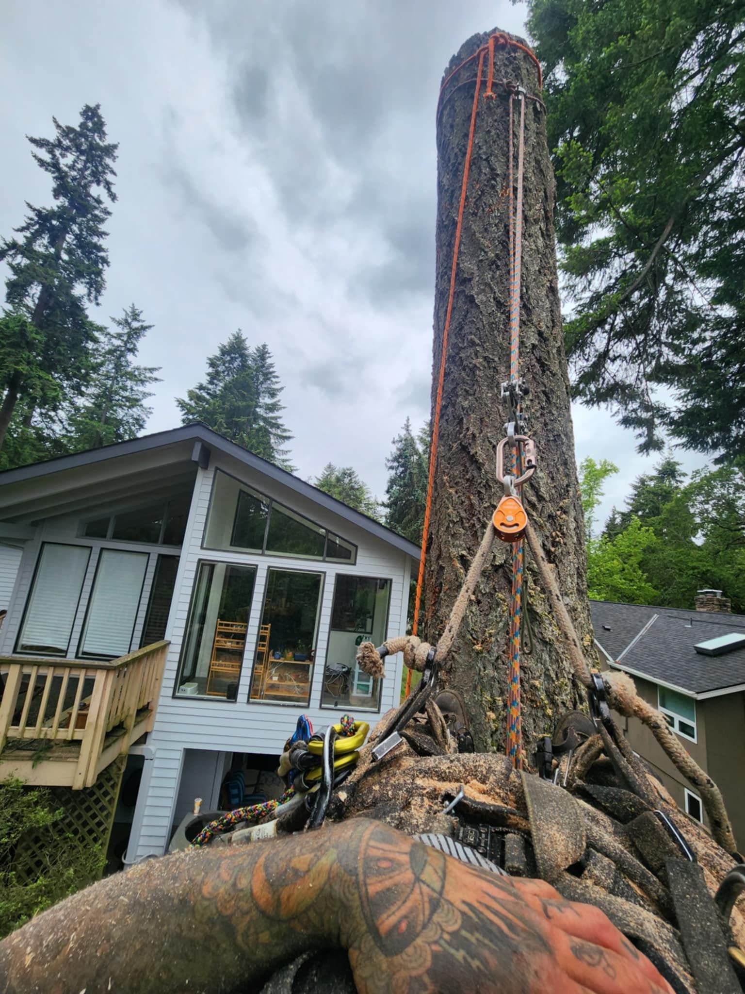 Arborist Beaverton