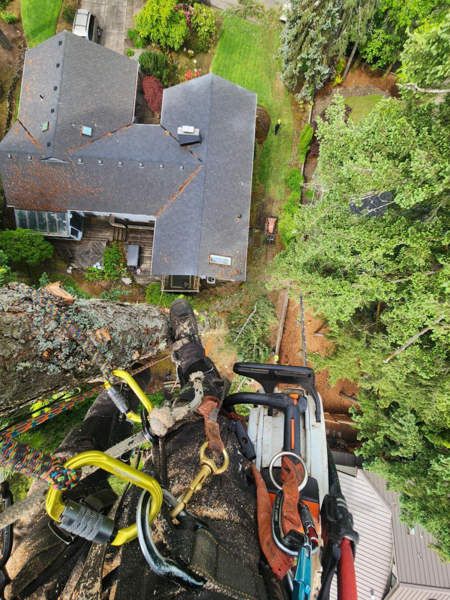 Tree Removal Tigard