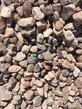 2 To 4 Inches Rocks — La Luz, NM — R.D. Blankenship Dirt Work LLC