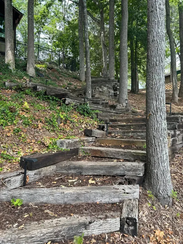 Wooden steps climbing a wooded hillside among tall trees and leaf-covered ground