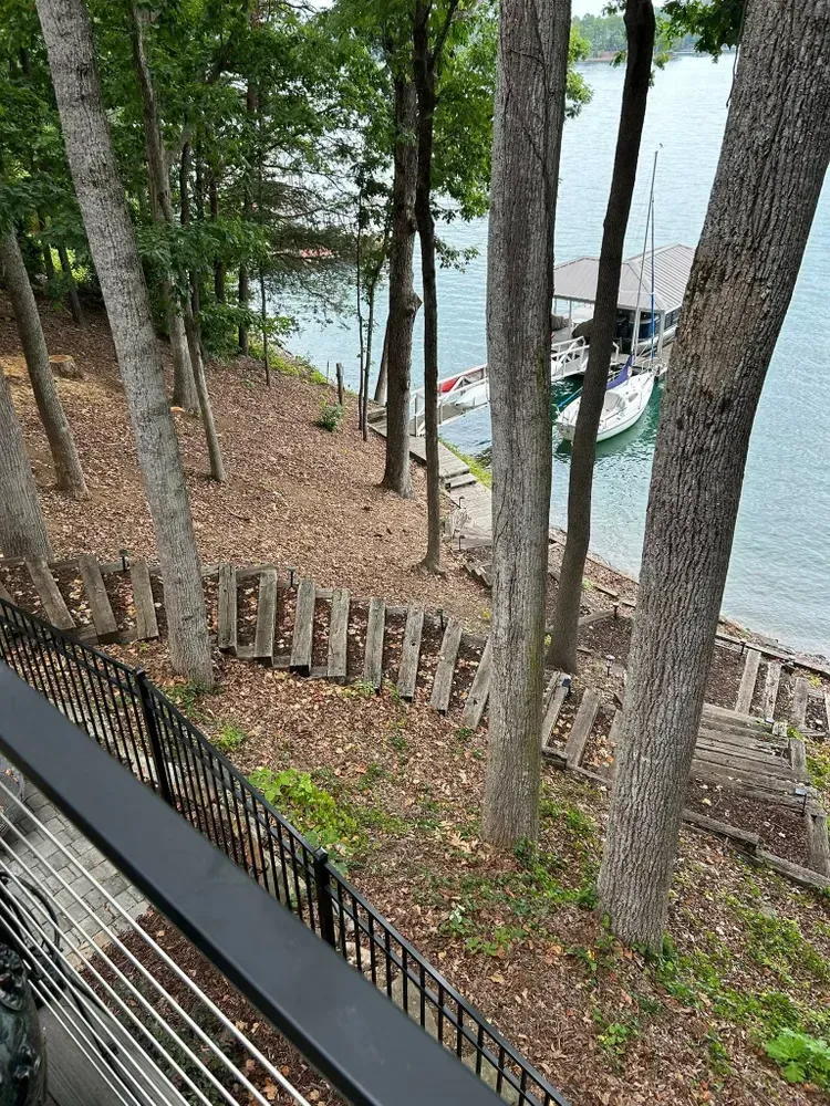 Wooded lakeside view with tall trees, a docked boat, and a hillside stairway by the water