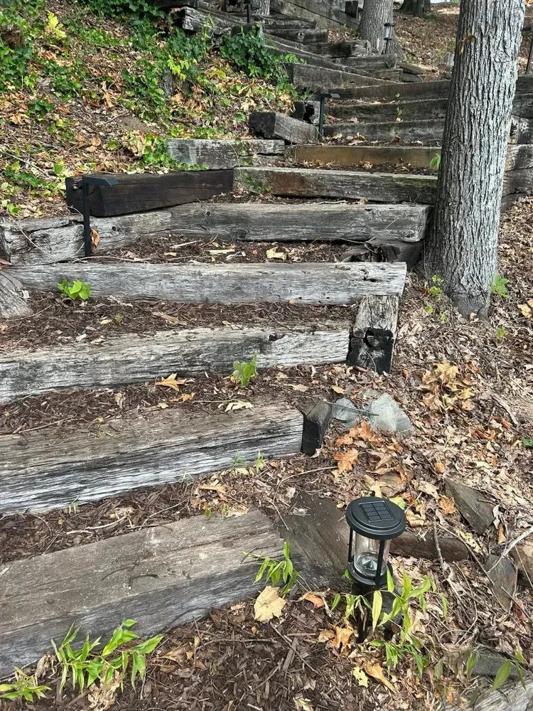Wooden steps on a wooded hillside with fallen leaves and a small path light at the base