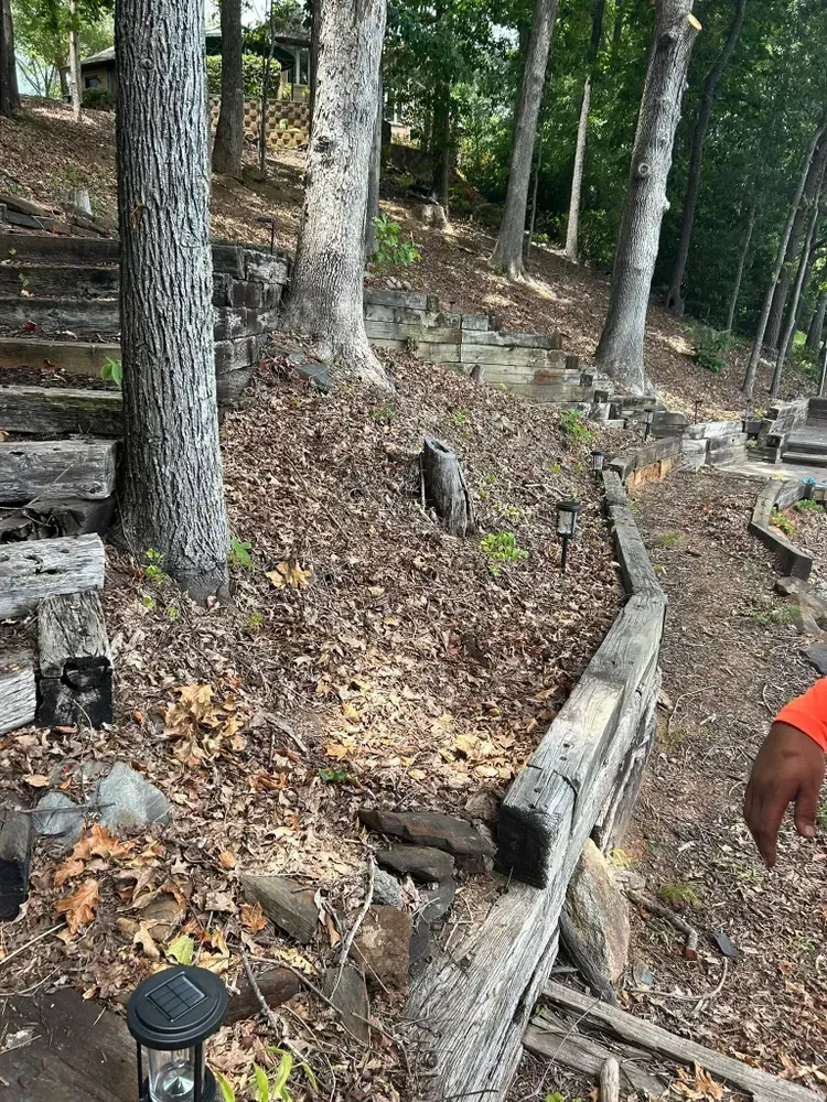Wooded hillside with a narrow dirt trail, stone steps, and a wooden guardrail; a person’s arm appears at right.