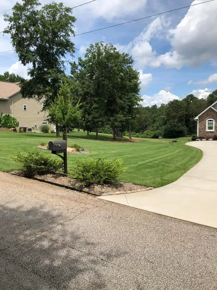 Suburban yard with green lawn, mailbox, curved driveway, trees, and brick houses under a blue sky with clouds