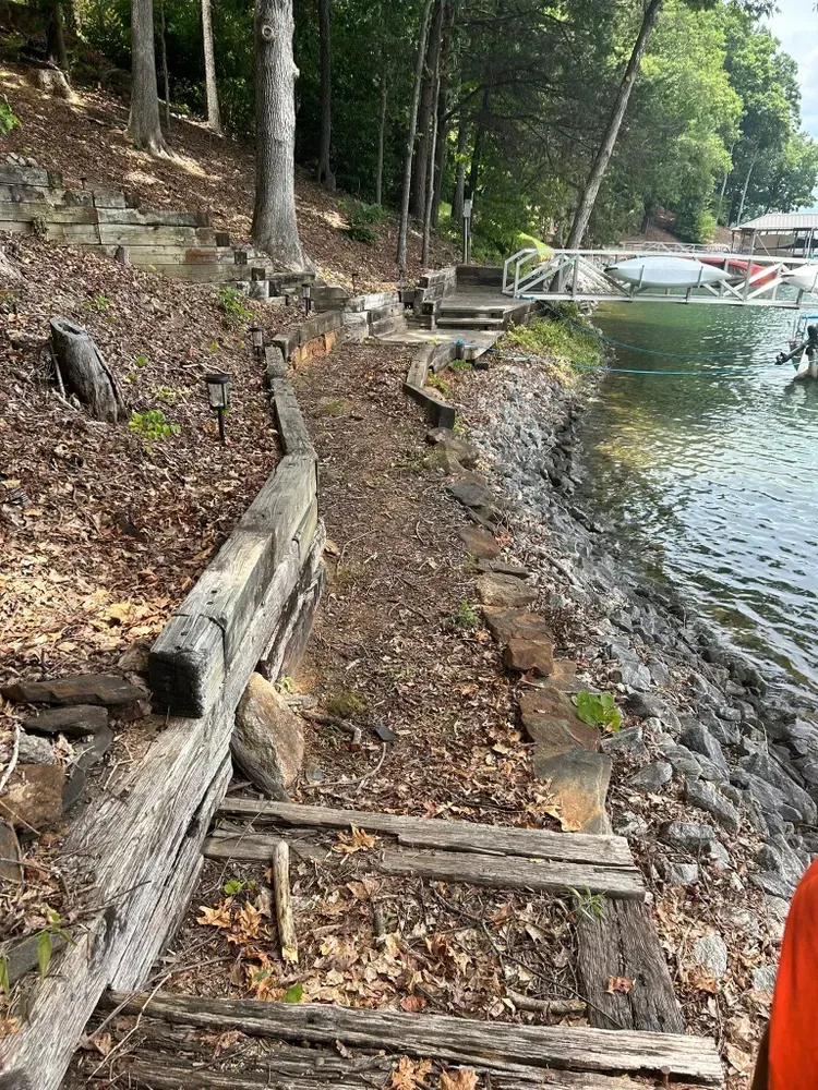 Wooded lakeshore with eroded bank, weathered logs, and a small dock in the background