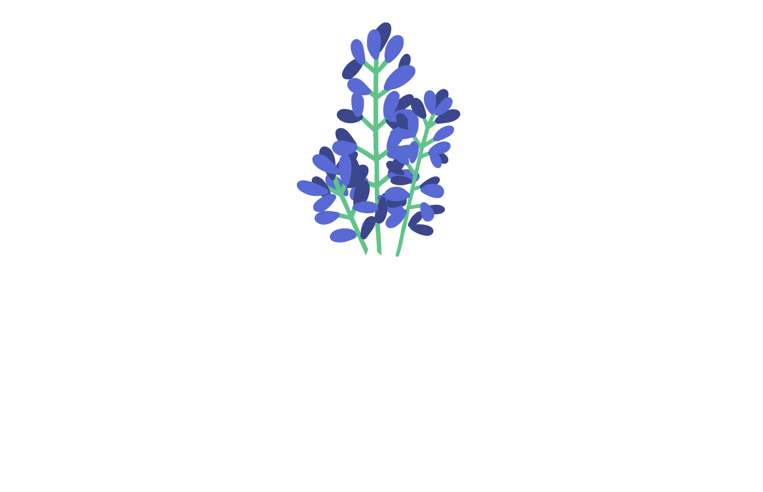 Chappell Hill Texas RV Park Chappell Hill RV Park