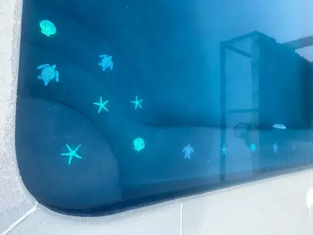 A bathroom mirror with glow in the dark seashells and turtles on it.