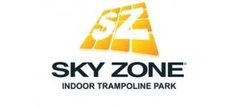 Sky Zone logo: Yellow
