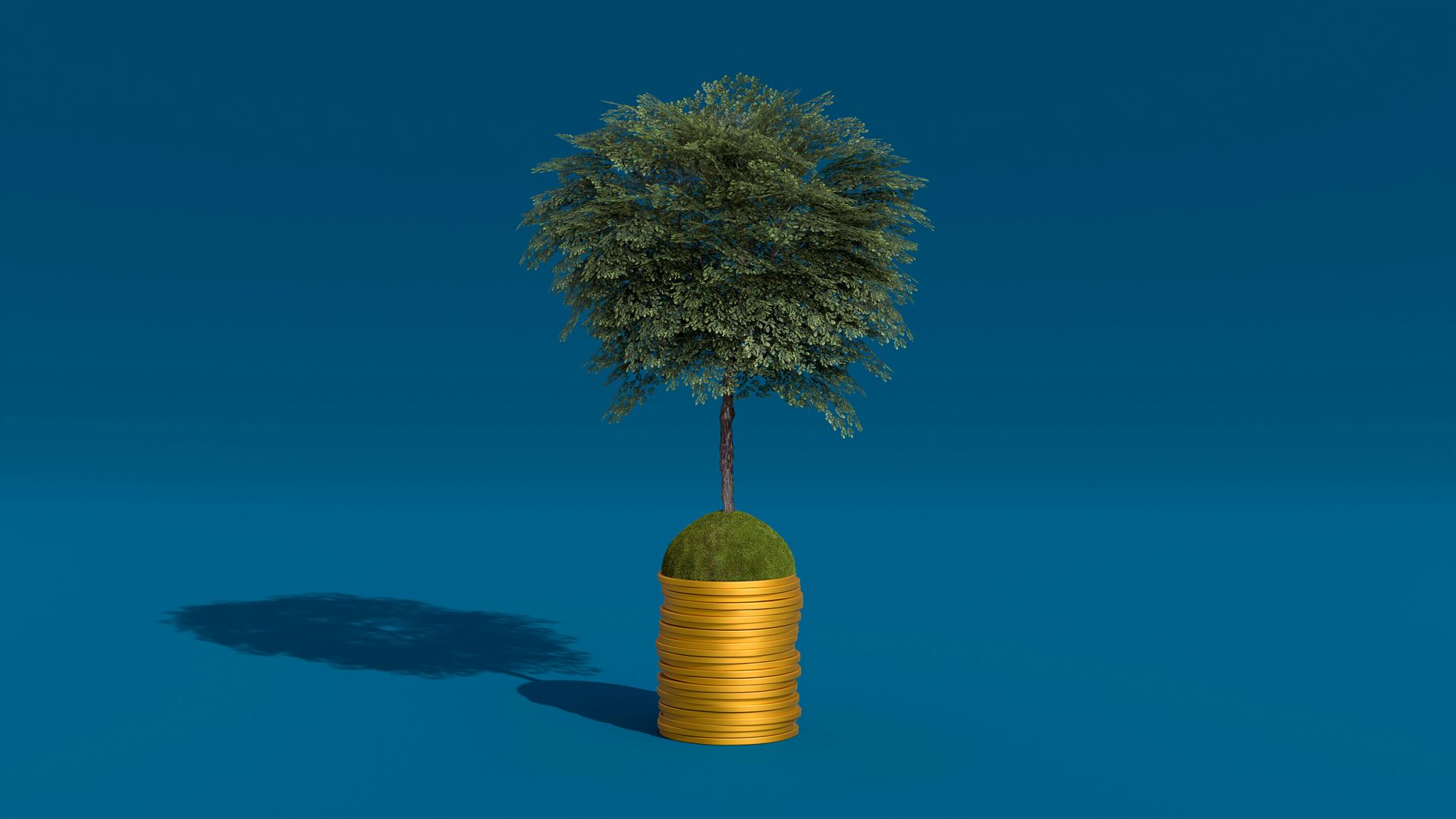 Miniature tree growing from a stack of gold coins