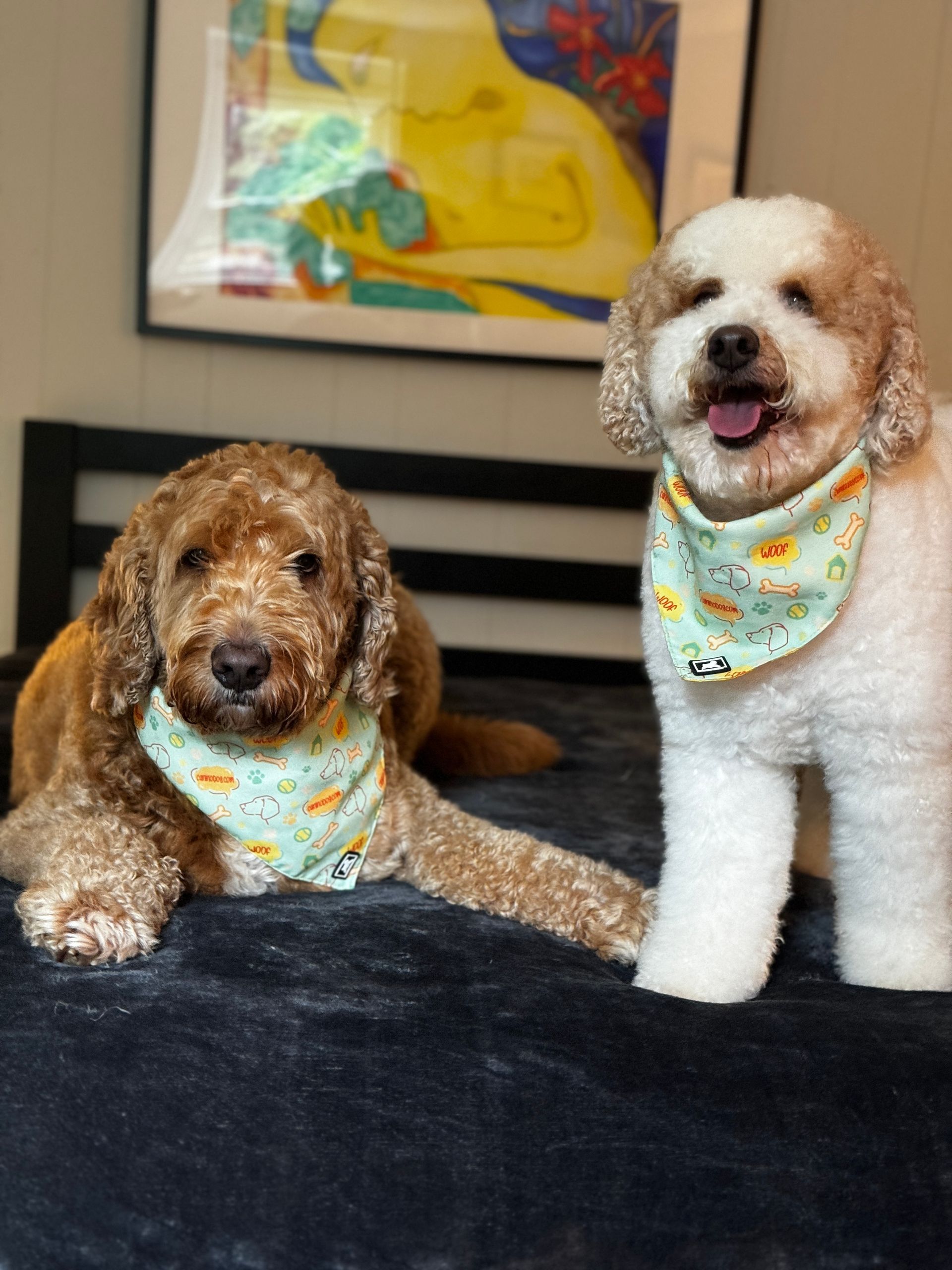 Two dogs wearing bandanas are laying on a bed