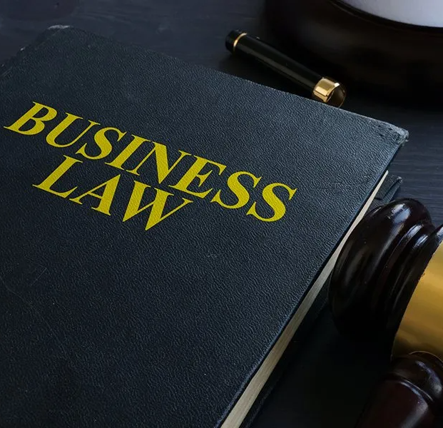 Business Law Book And Gavel — Hartland, WI — Langer & Peterson LLC