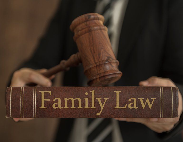 Lawyer Holding Family Law Books — Hartland, WI — Langer & Peterson LLC